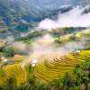 hoàng su phì_ du lịch Lion Trip