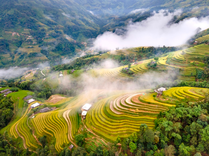 1 hoàng su phì_ du lịch Lion Trip