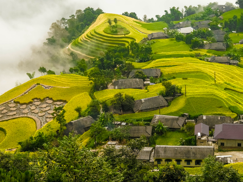 2 ruộng bậc thang_ du lịch Lion Trip