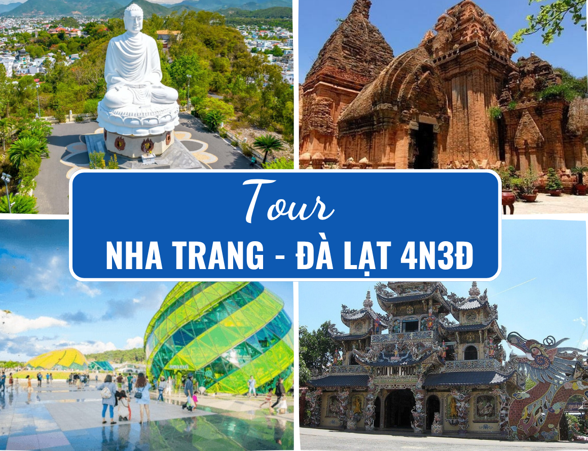 Ảnh đại diện sản phẩm (4)
