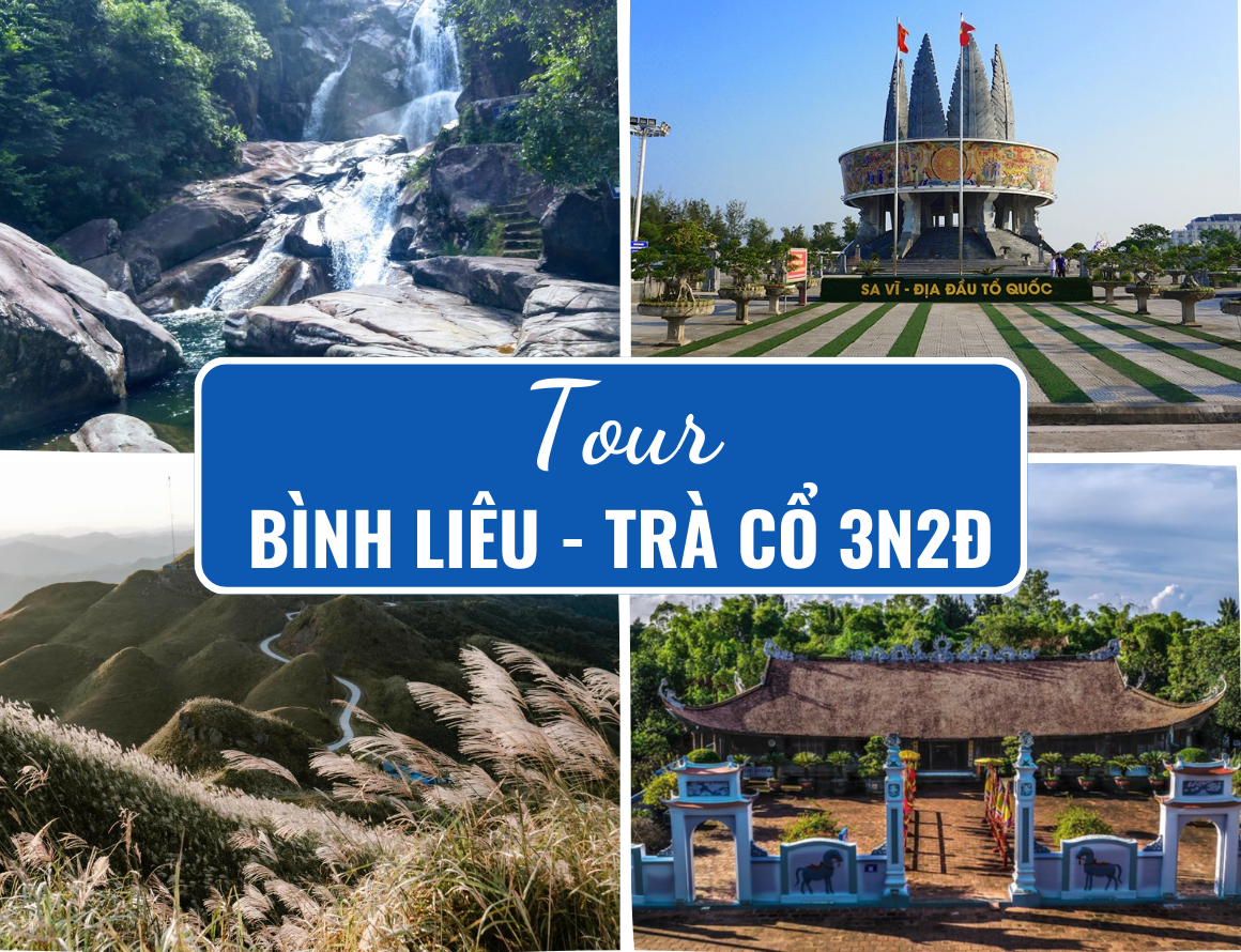 tour-binh-lieu-tra-co