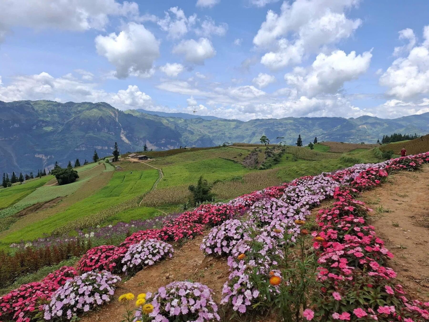 tour hoang su phi 3n2d 3.jpg